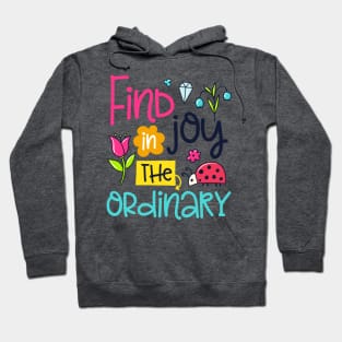 Find joy in the ordinary Hoodie